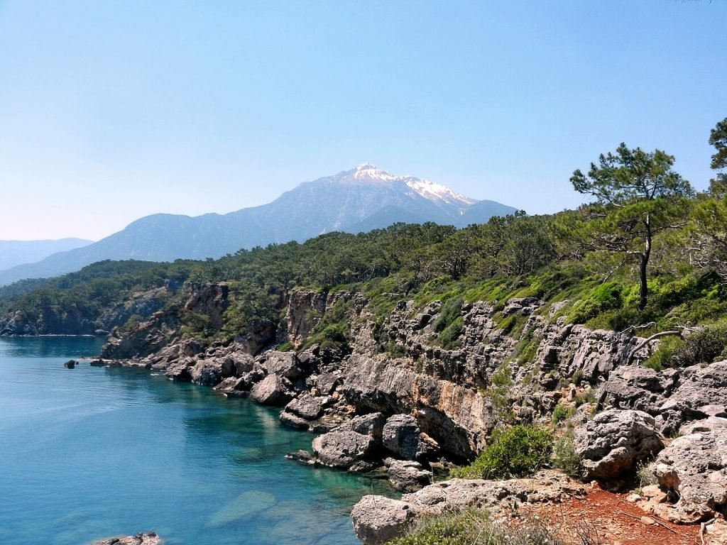 Çamyuva
