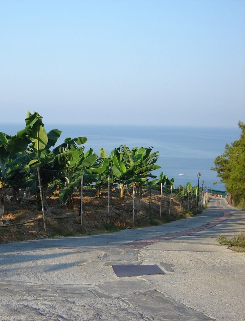 Kargıcak