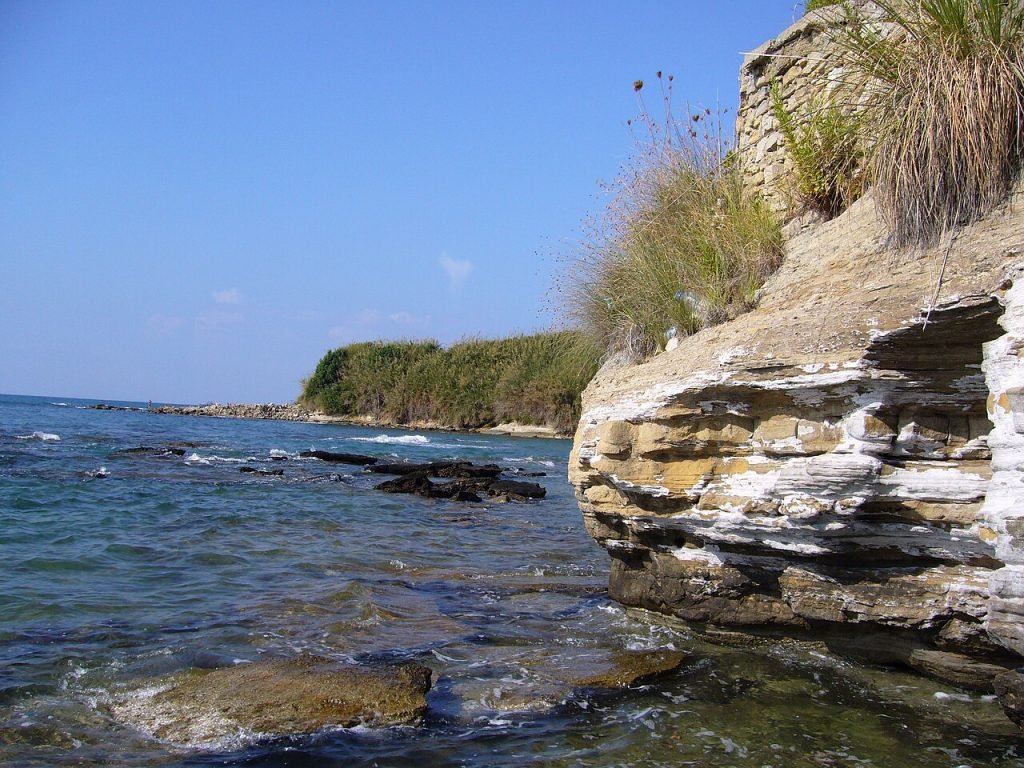 Okurcalar